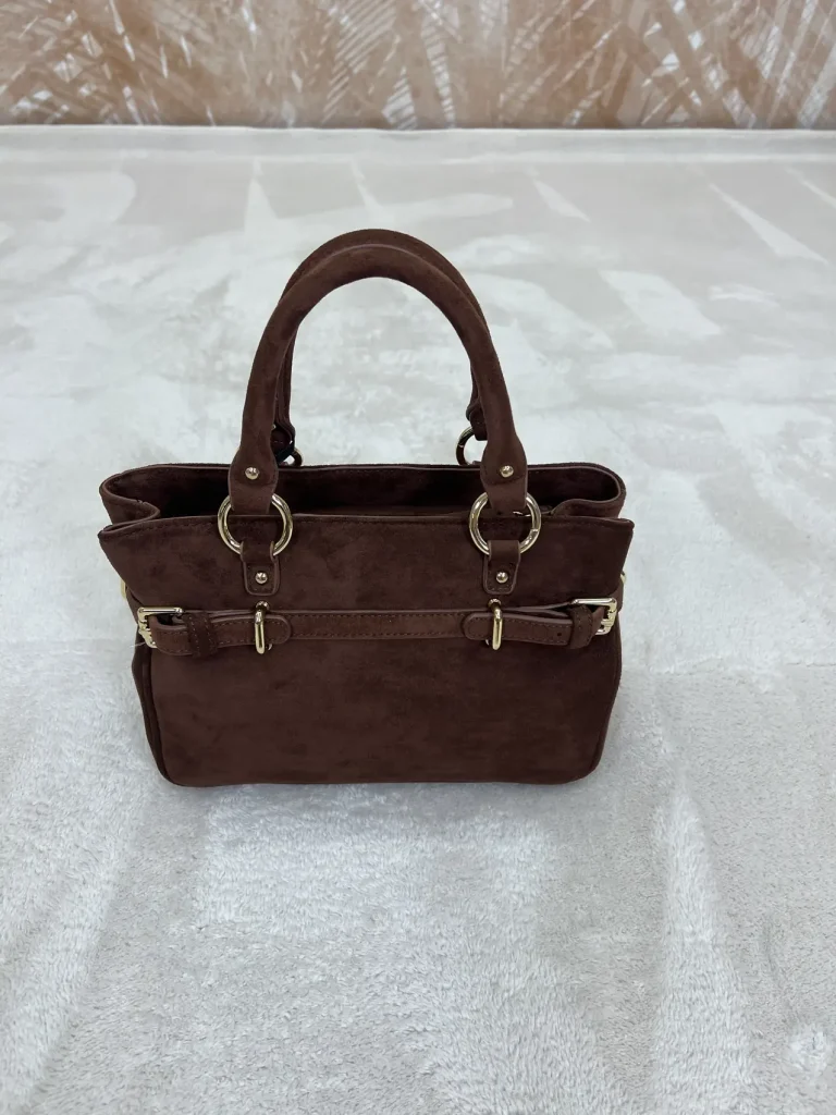 Borsa Pashbag Golden Mini Marrone